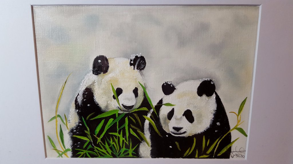 Format 29/30 : Numéro: 3635 ''Deux panda sous la neige'' (cadre blanc). Vendu (peux être reproduit)
