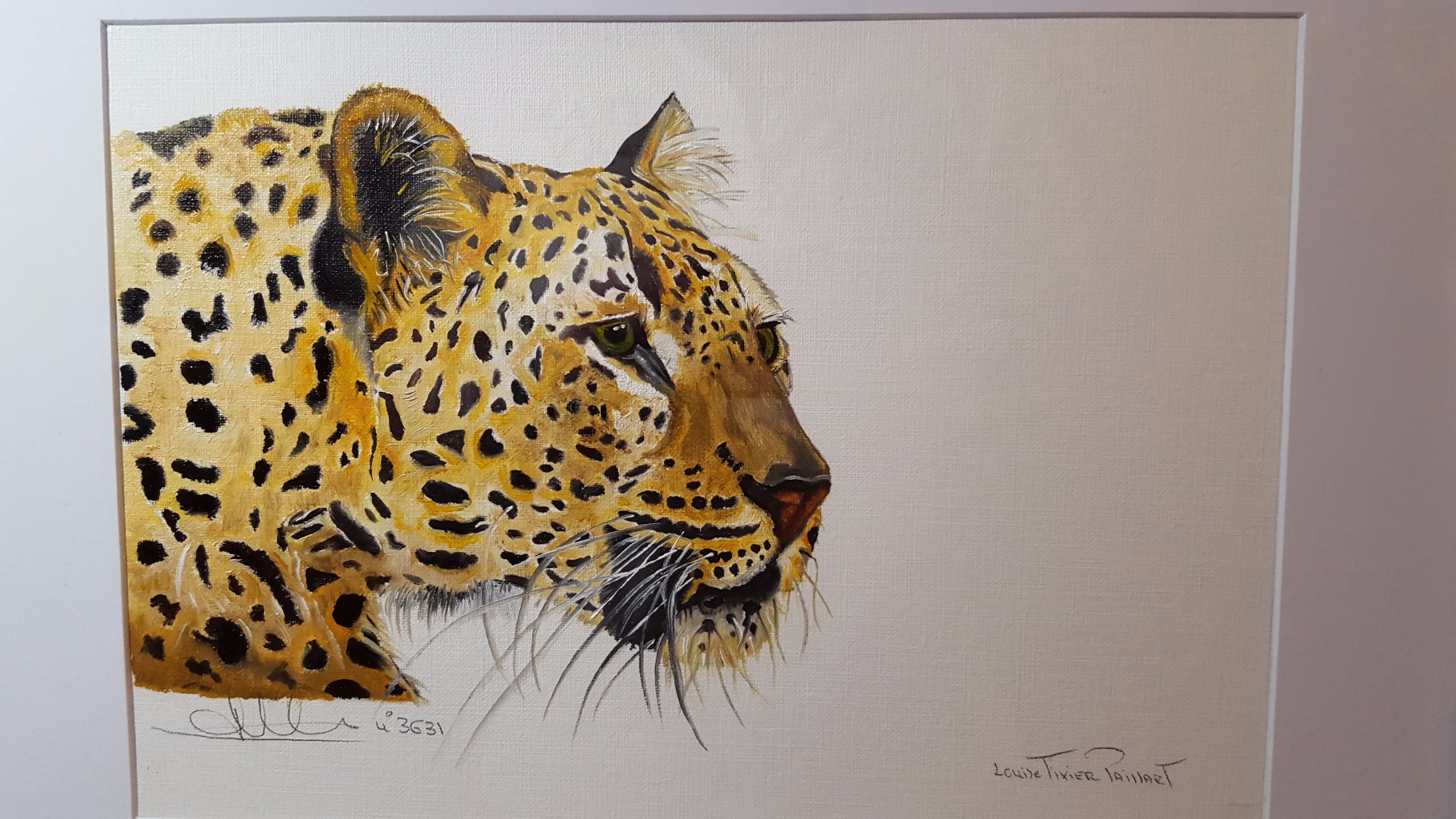 N°3631 Tête de léopard, 30X40, 4000 Euros (sous verre)